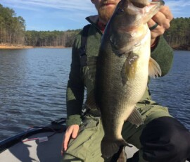 Jordan Lake bass fishing